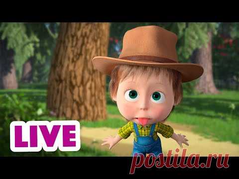 🔴 ПРЯМОЙ ЭФИР! LIVE Маша и Медведь 👱‍♀️🐻 Академия непослушания 😁🤟