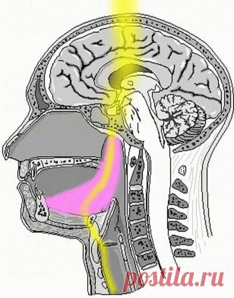 5 волшебных точек полости рта