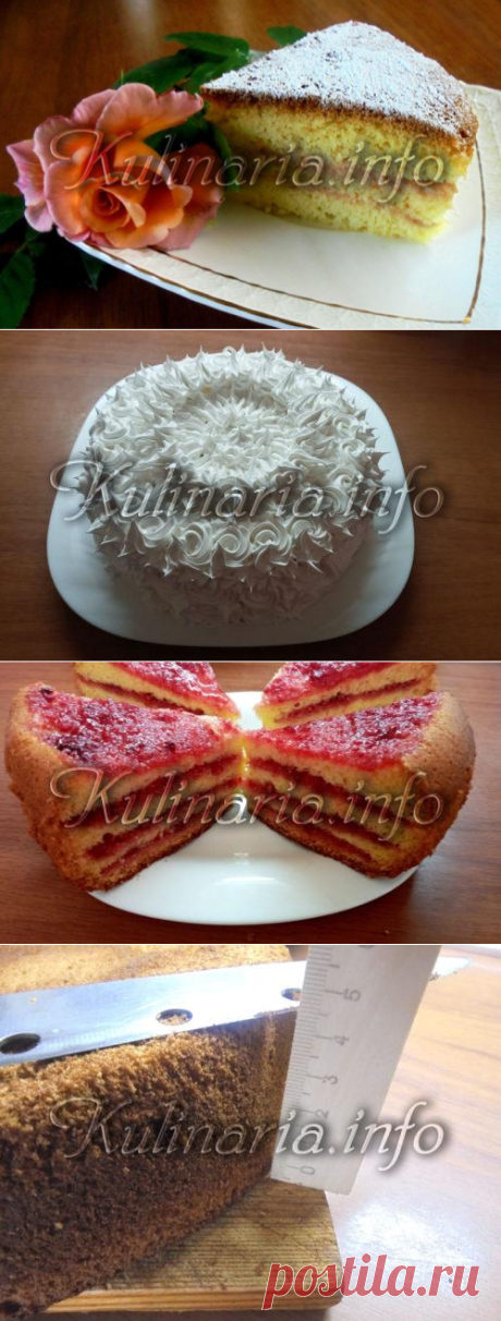 Как испечь бисквит в домашних условиях - Kulinaria.info