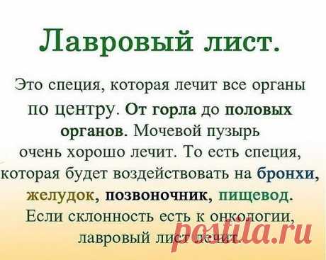 (3) Одноклассники