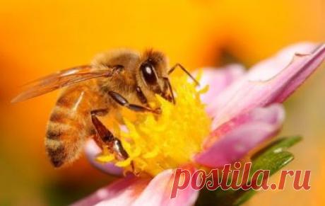 Замечайте только хорошее!