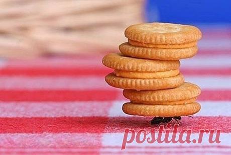 Здоровье и бизнес: Работа убивает гораздо чаще