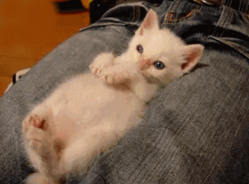 Мой Мир@Mail.Ru