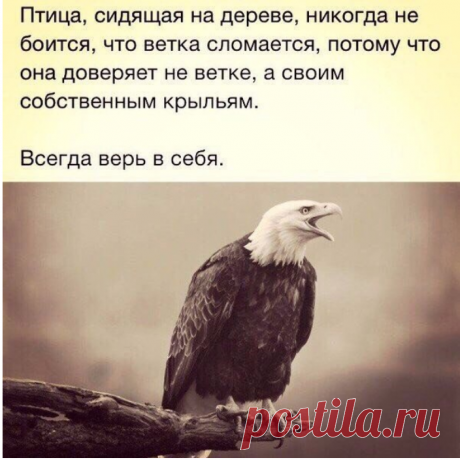 Совмещать полезное с приятным! Мы так много времени проводим в интернете, в соц.сетях, общаемся, ищем друзей.. А хотите за это получать деньги? Не нужно ничего никому продавать! Сама не люблю и Вам не предлагаю)) Всё просто, легально и приносит реальный доход! При этом вы будете продолжать заниматься тем, что вам нравится! Если вам интересно ставьте класс! Всем отвечу лично)