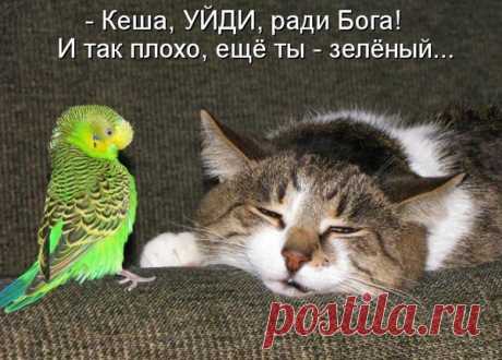 Смотрите внимательней! Видите?