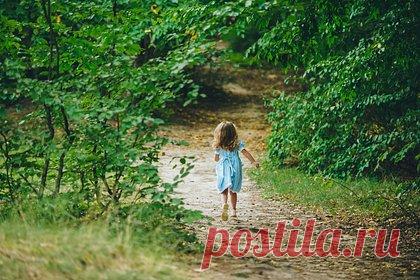 Охотник услышал плач в лесу и спас заблудившуюся двухлетнюю девочку. В США охотник на оленей из штата Южная Каролина спас убежавшую из дома и заблудившуюся в лесу двухлетнюю девочку. Мужчина выслеживал оленя около шести часов вечера 29 октября. Внезапно он услышал детский плач и вскоре обнаружил ребенка. Охотник сразу же позвонил в полицию.