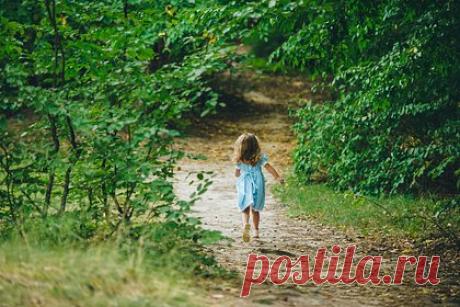 Охотник услышал плач в лесу и спас заблудившуюся двухлетнюю девочку. В США охотник на оленей из штата Южная Каролина спас убежавшую из дома и заблудившуюся в лесу двухлетнюю девочку. Мужчина выслеживал оленя около шести часов вечера 29 октября. Внезапно он услышал детский плач и вскоре обнаружил ребенка. Охотник сразу же позвонил в полицию.