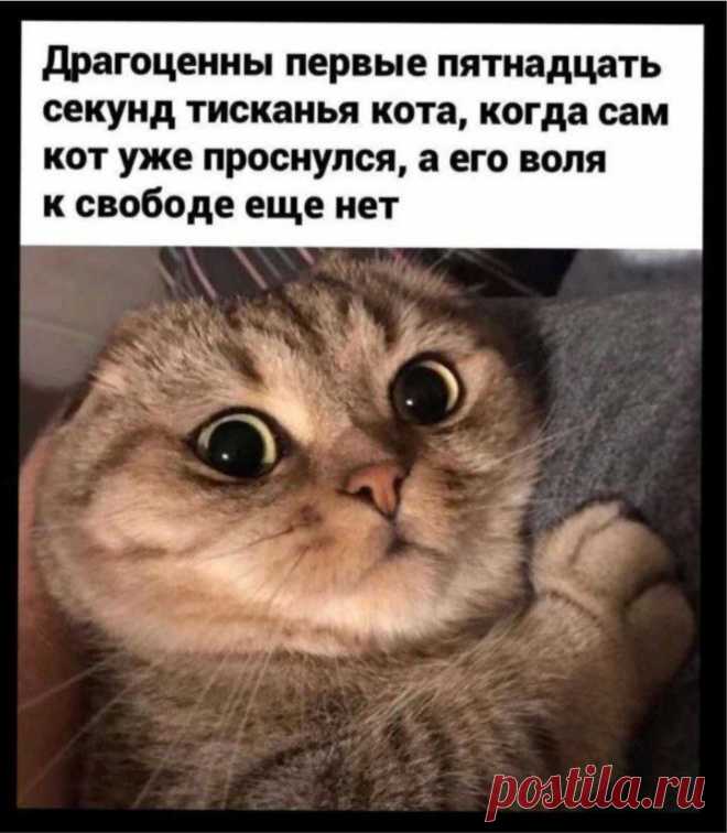 м