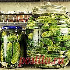 Вкусный год с Анной Людковской на Postila.ru | Постила