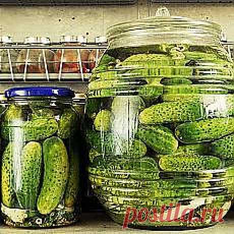 Вкусный год с Анной Людковской на Postila.ru | Постила