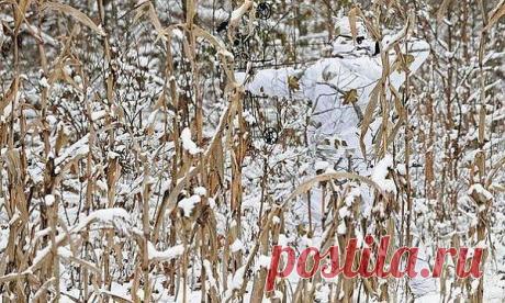 (10) Одноклассники