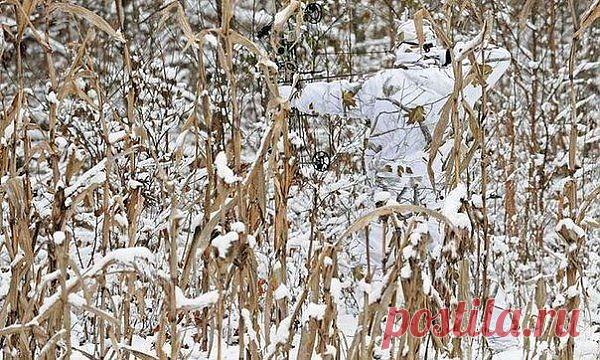 (10) Одноклассники