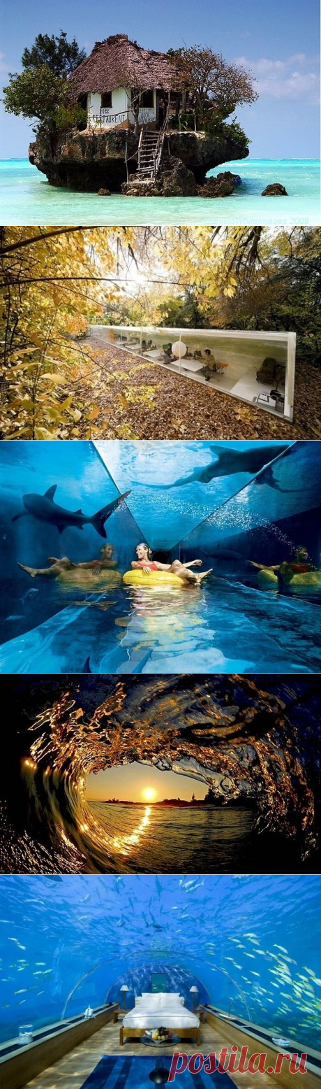 Ты не поверишь - Nefer`s Journal