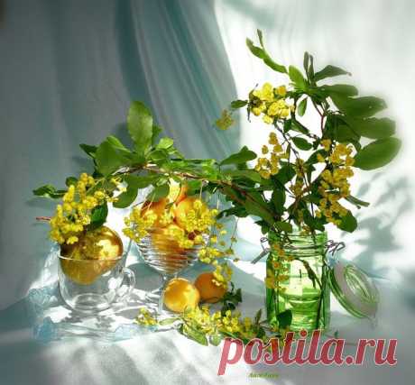Утренний натюрморт