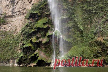 Водопад «Рождественское дерево» ( Arbol de Navidad Cascada) - это чудо природы, которое находится на юге Мексики в штате Чиапас. 
Нетрудно догадаться, почему водопад так прозвали – скальные породы здесь сложены так, что издалека похожи на лапы ели. Зеленый цвет породе придают мхи и трава: орошаемые водой, они хорошо обосновались в этом месте. Этот водопад не имеет аналогов в мире.