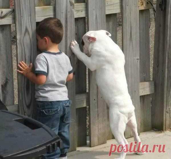 Мой Мир@Mail.Ru