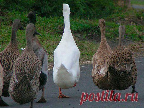 на прогулке