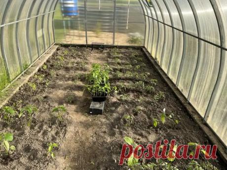 Как сделать теплую грядку своими руками за один день: инструкция, с которой справится даже новичок. Суть конструкции — в слоях, которые перегнивают и выделяют тепло.