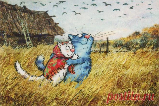 Синие коты - 61 фото - картинки: смотреть онлайн