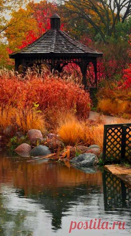 Cantigny Park pond a moment love - Love Share and Keep Smile