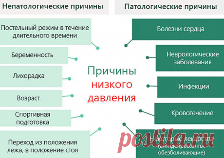 Низкое артериальное давление: что делать для нормального самочувствия | ESTET-PORTAL | Яндекс Дзен