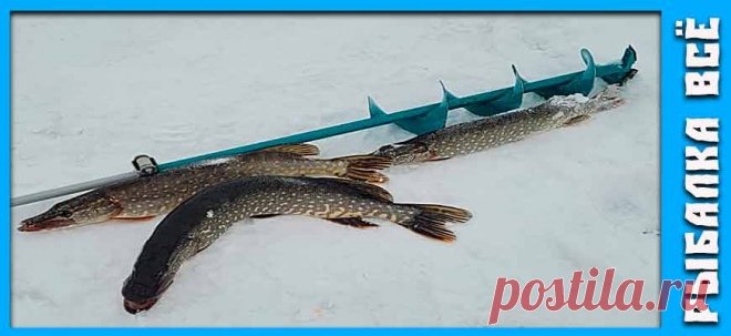 рыбалка на щуку по первому льду - fishing-all.ru Рыбалка на щуку по первому льду это интересная, но опасная рыбалка. Расскажем как хорошо ловить щуку и оставаться в безопасности.