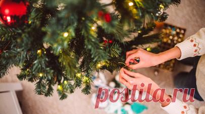 Психолог Морозова посоветовала не наряжать ёлку слишком рано. Эксперт по традициям и символизму, психолог Марина Морозова рекомендовала не наряжать ёлку слишком рано. Читать далее