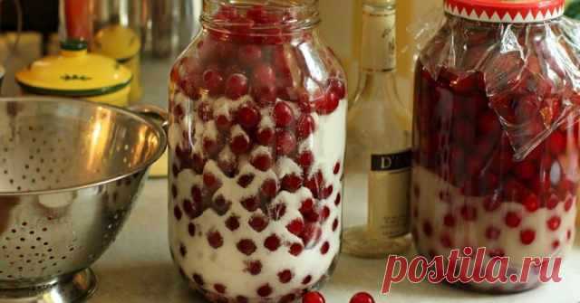 Созрела вишня! Отбираю самую сочную, самую вкусную — и в банку. Получается чистейшая амброзия. Нестареющий рецепт для каждого ягодного сезона! — Домашняя кулинария