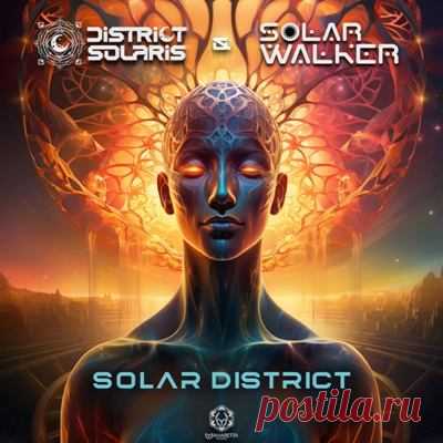 District Solaris, Solar Walker - Solar District