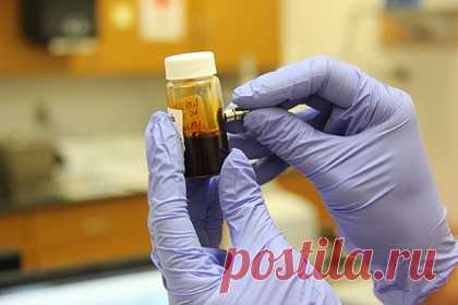 США проспонсировали изучение коронавируса в Ухане еще до начала пандемии. США спонсировали изучение коронавирусов и выделили более трех миллионов долларов, в том числе институту вирусологии в Ухане. Об этом сообщает интернет-журнал Intercept. В распоряжении издания оказалось 900 страниц материалов на тему американского финансирования исследований в Китае.