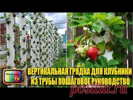 Грядки для клубники – вертикальные сооружения с высокой эффективностью