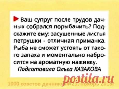 Листья петрушки отличная приманка для рыбы