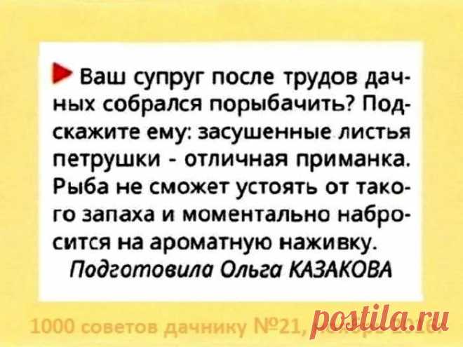 Листья петрушки отличная приманка для рыбы