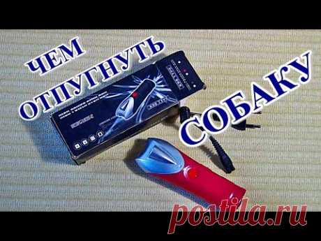 █ Электрошокер РЕМОНТ / ЗАШИТА от СОБАК / how to scare a dog!!!