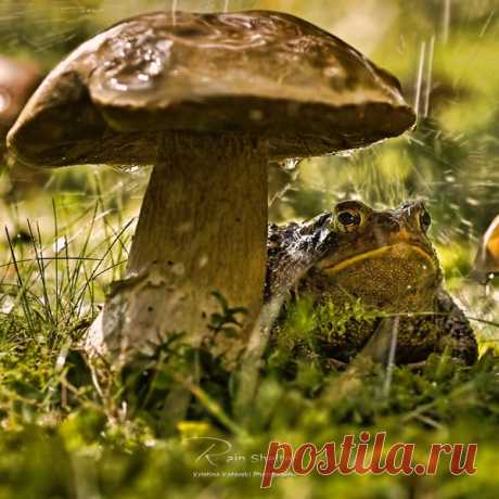 ххх