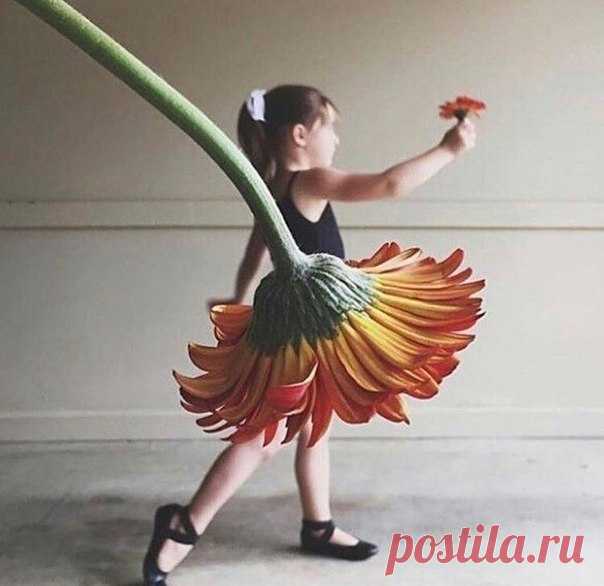 Момент