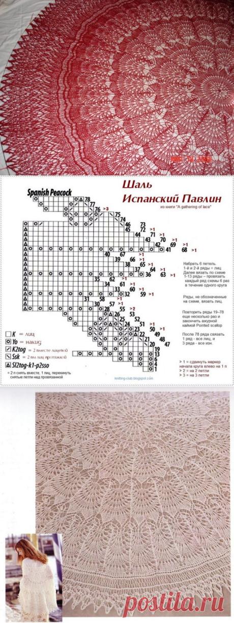 Воздушная шаль спицами. Вяжем ажурную шаль спицами | Домоводство для всей семьи