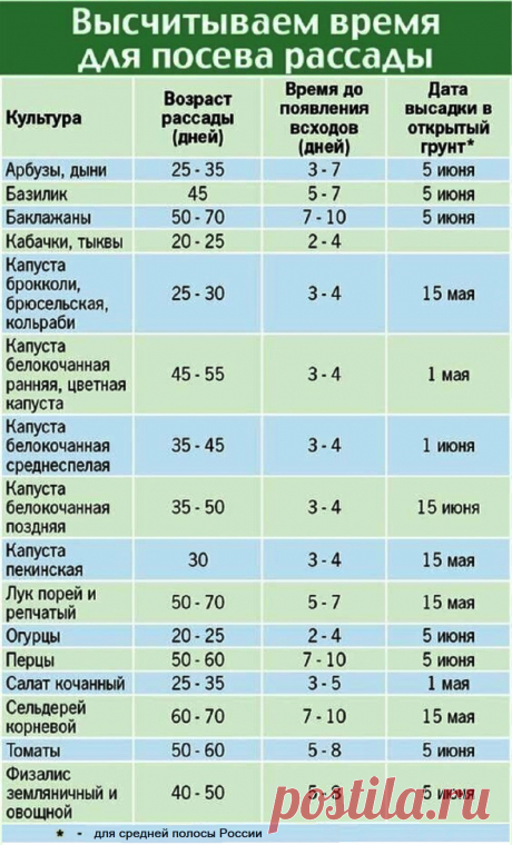 Высчитываем время для посева рассады