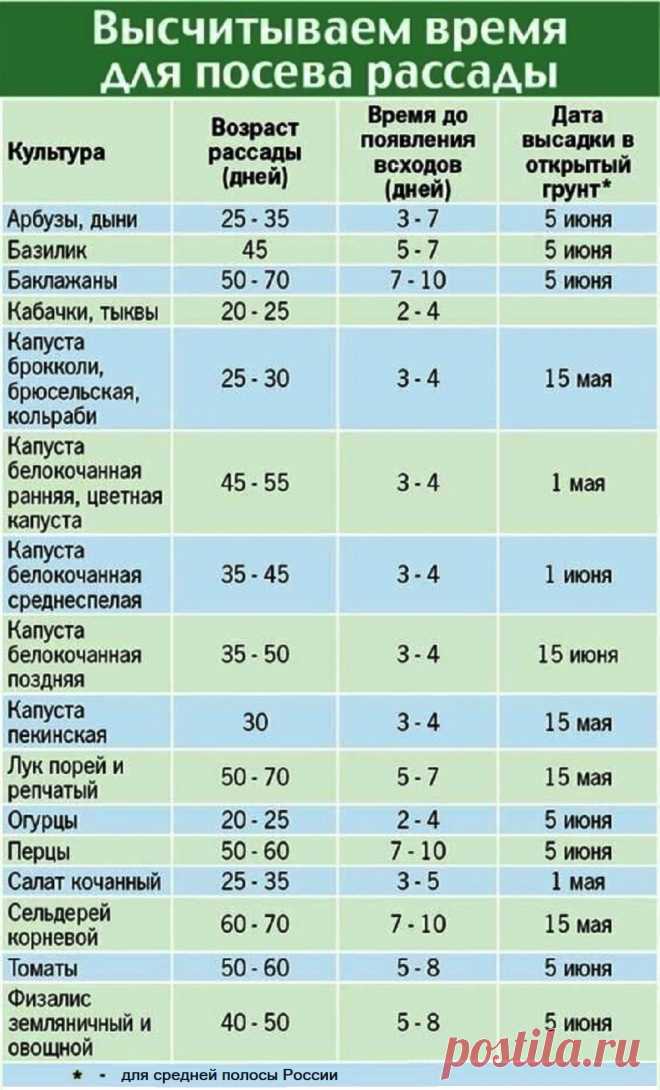Высчитываем время для посева рассады