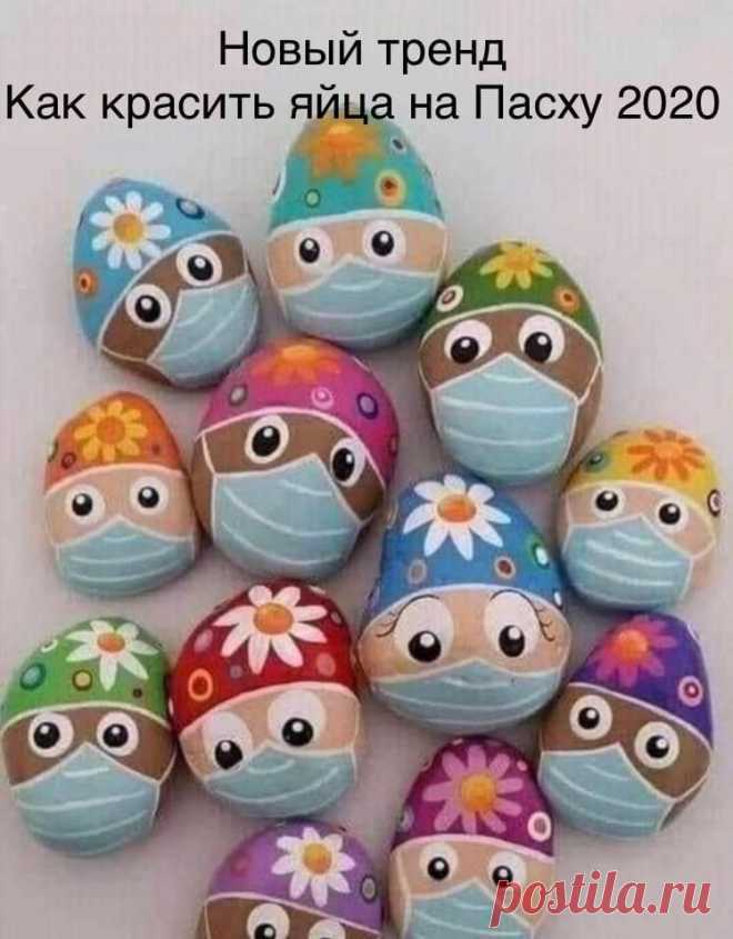 93373812_2602970599920132_4066067568010461184_n.jpg (749×959)