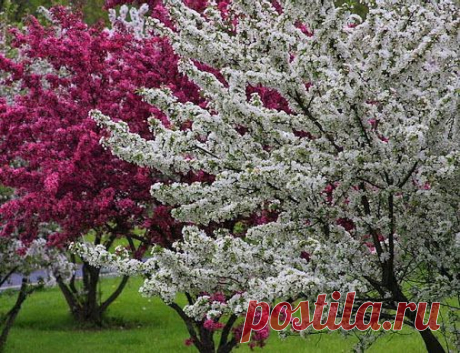 Vladimir Sucharev – Google+