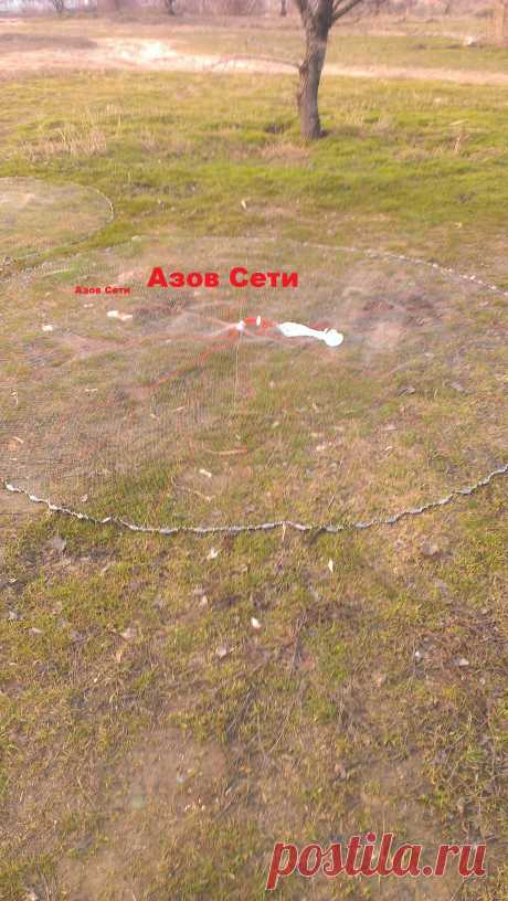 АЗОВ СЕТИ | Кастинговая сеть (azovseti.ru) 
Номер тел--8-909-431-19-92
Почта -- box@azovseti.ru
Сайт -- Azovseti.ru
Интернет магазин - azov-seti.ru