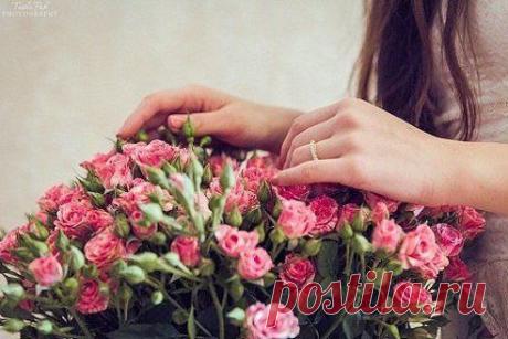 Одноклассники