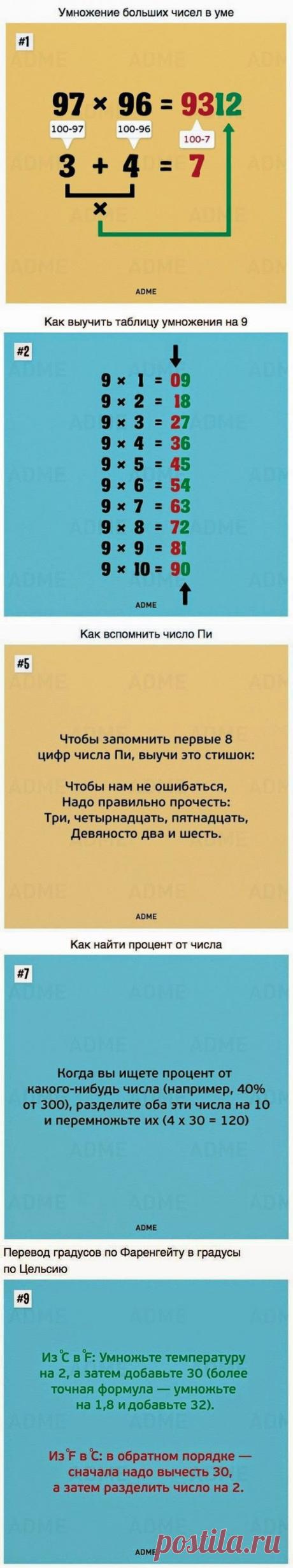 Такому в школе нас не учили. А жаль!