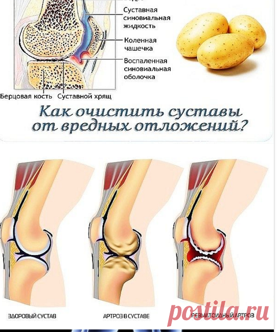 (5) Одноклассники
