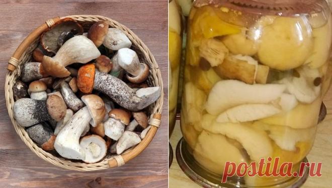 Варка грибов перед закруткой | Делимся советами