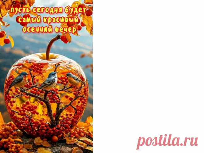 af21374d.png (1023×768)