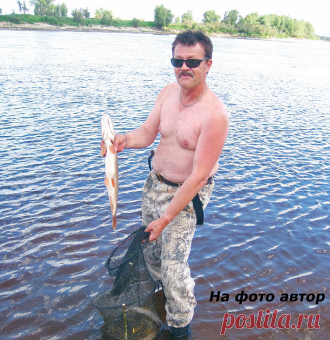 Река по имени Тавда  

Все шло по плану. Предстояло посетить замечательную и красивейшую реку у д. Паченка в Нижнетавдинском районе в 95 км от г. Тюмени. Река Тавда всегда славилась обилием рыбы и чистотой своих вод.
 
 …