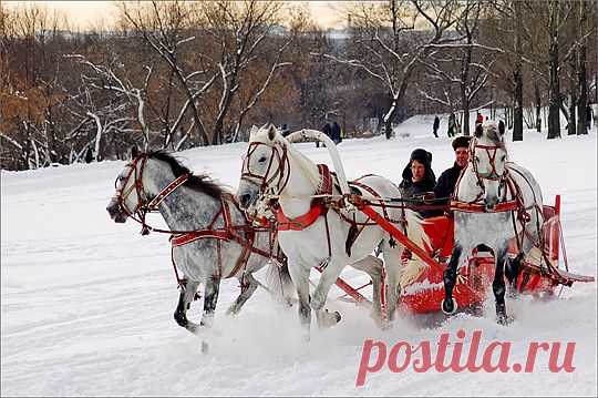 тройка