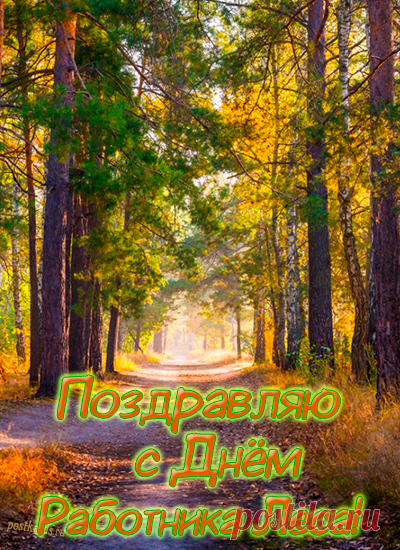 Пусть лес даёт вам силу,
И воздуха глоток.
И лесом станет каждый
Посаженный росток!